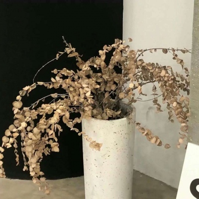 Furry原创作品设计思路福瑞群